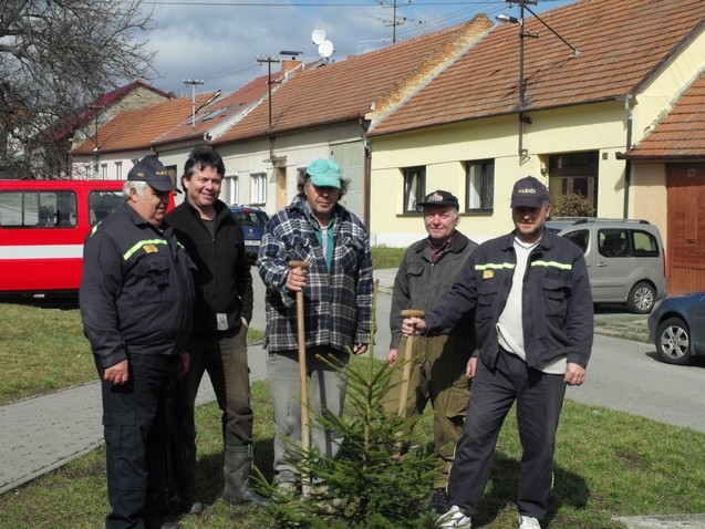 Sázení stromů v obci (4)