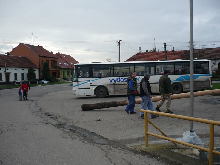 Přeprava vánočního stromu 23.112013 (15)