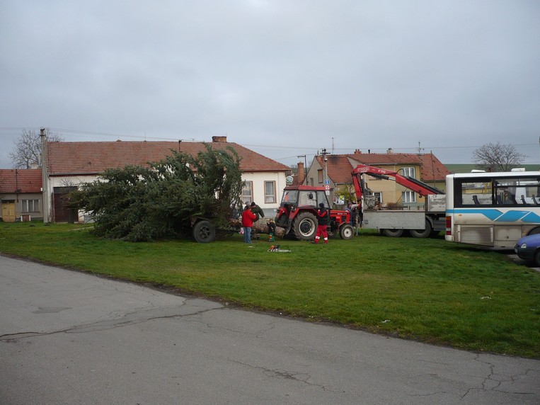 Přeprava vánočního stromu 23.112013 (21)